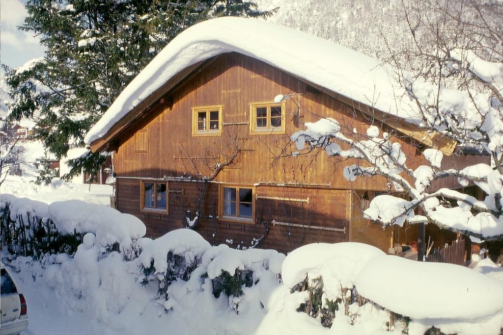 Ferienhaus Zirmheim Пертизау Экстерьер фото